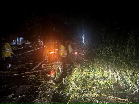 poza crengi - Jurnalul Olteniei – Știri din Craiova și Oltenia