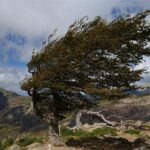 Oltenia, sub cod galben de vânt: Foto: pixabay