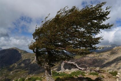 Oltenia, sub cod galben de vânt: Foto: pixabay