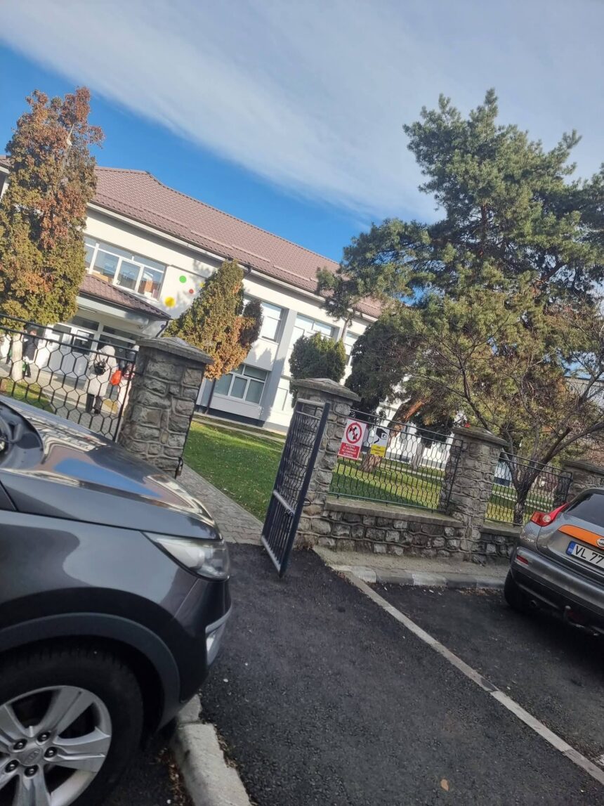 Copil desfigurat la grădiniță în Vâlcea: Dosar penal