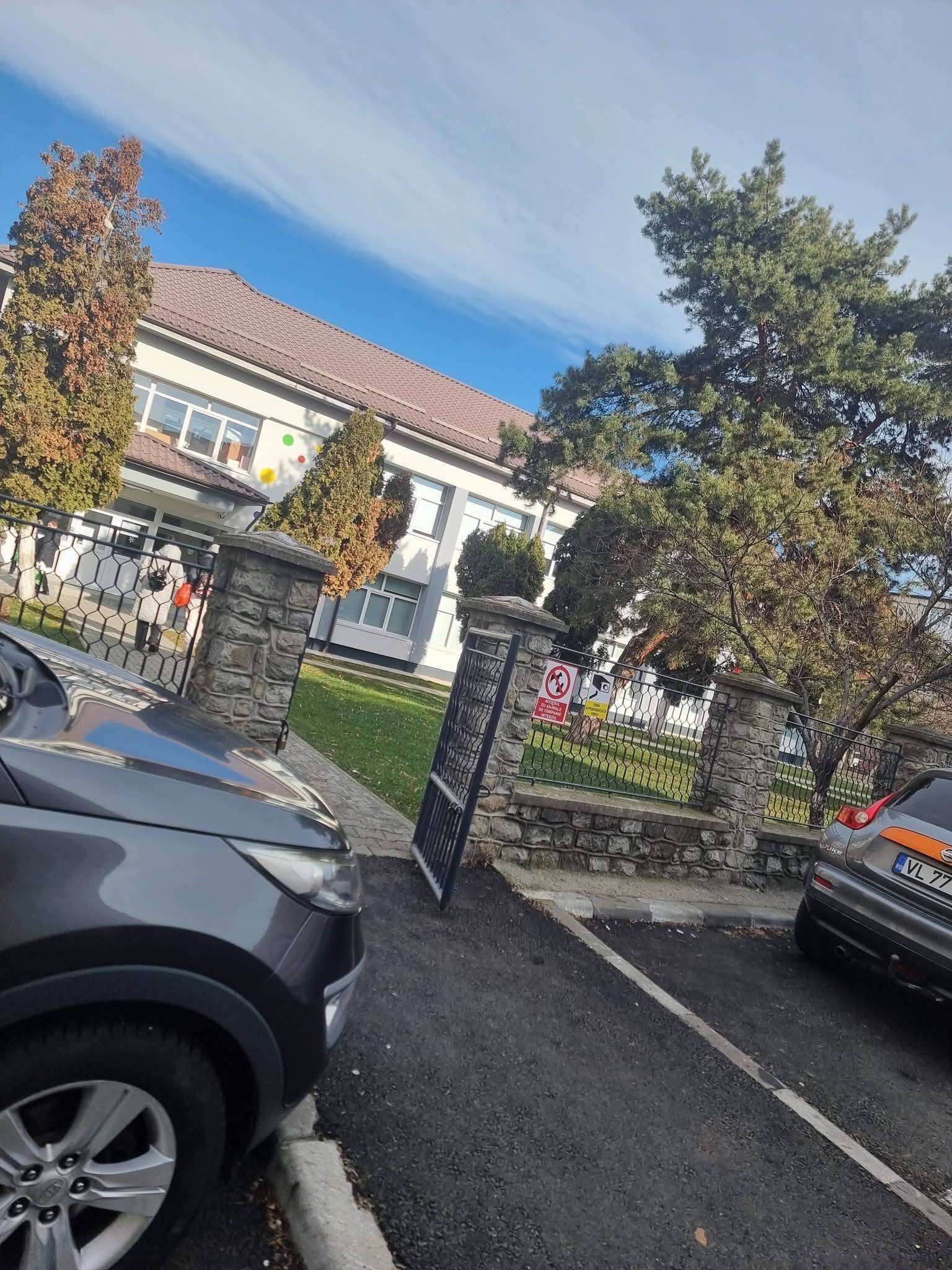 Copil desfigurat la grădiniță în Vâlcea: Dosar penal