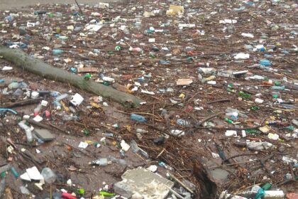 Dezastru în Golful Cernei: Munți de gunoaie după viituri: Foto: Apele Române Banat