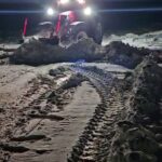 Lupta cu vântul în zona de sud: Utilaje grele în acțiune