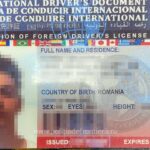 SUA: Minor prins la volan în Dolj cu un permis fals