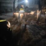 Dolj: Reținere după uciderea unui câine fără stăpân