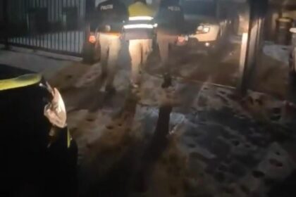 Dolj: Reținere după uciderea unui câine fără stăpân