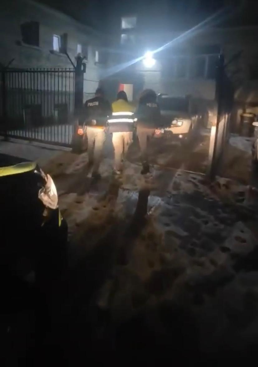 Dolj: Reținere după uciderea unui câine fără stăpân