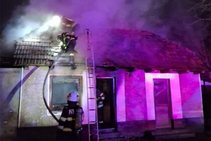 Incendii în Vâlcea