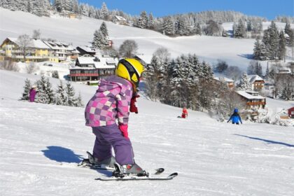 Oltenia: Vacanța de schi, programată în februarie. Foto: Pixabay