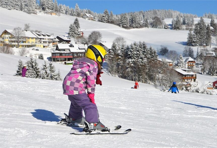 Oltenia: Vacanța de schi, programată în februarie. Foto: Pixabay