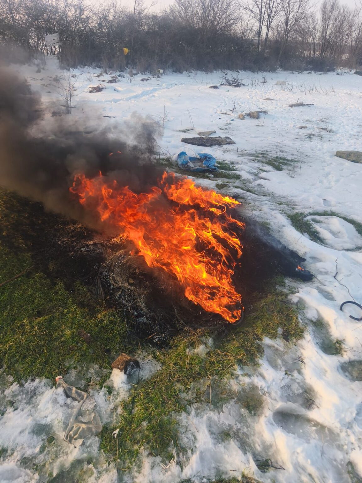 Arderi ilegale în Dolj: Femeie prinsă în flagrant