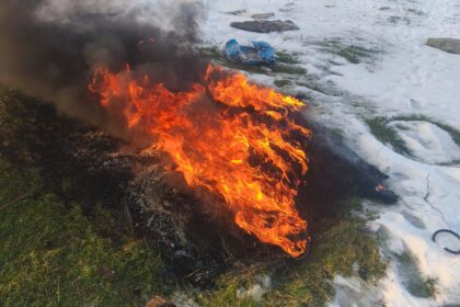 Arderi ilegale în Dolj: Femeie prinsă în flagrant