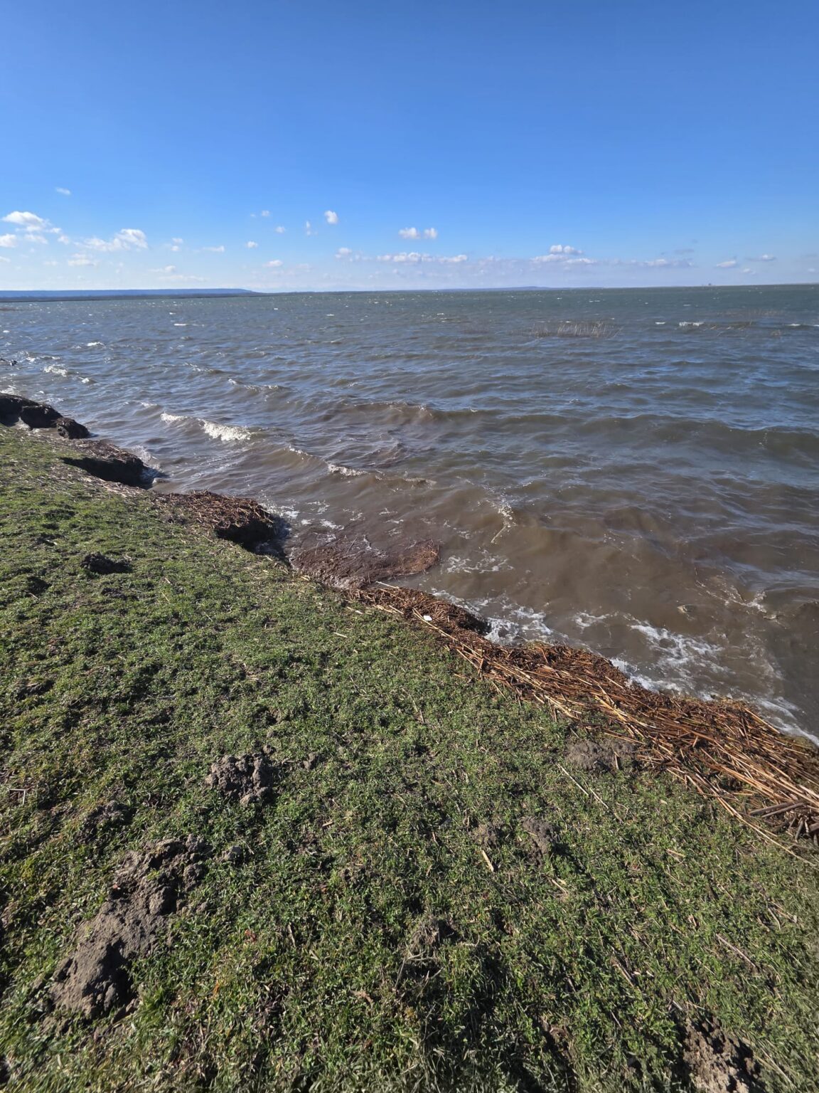 Șeful SGA Dolj: Nu există niciun pericol pentru populație