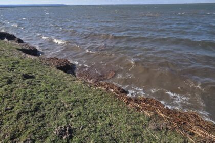 Șeful SGA Dolj: Nu există niciun pericol pentru populație