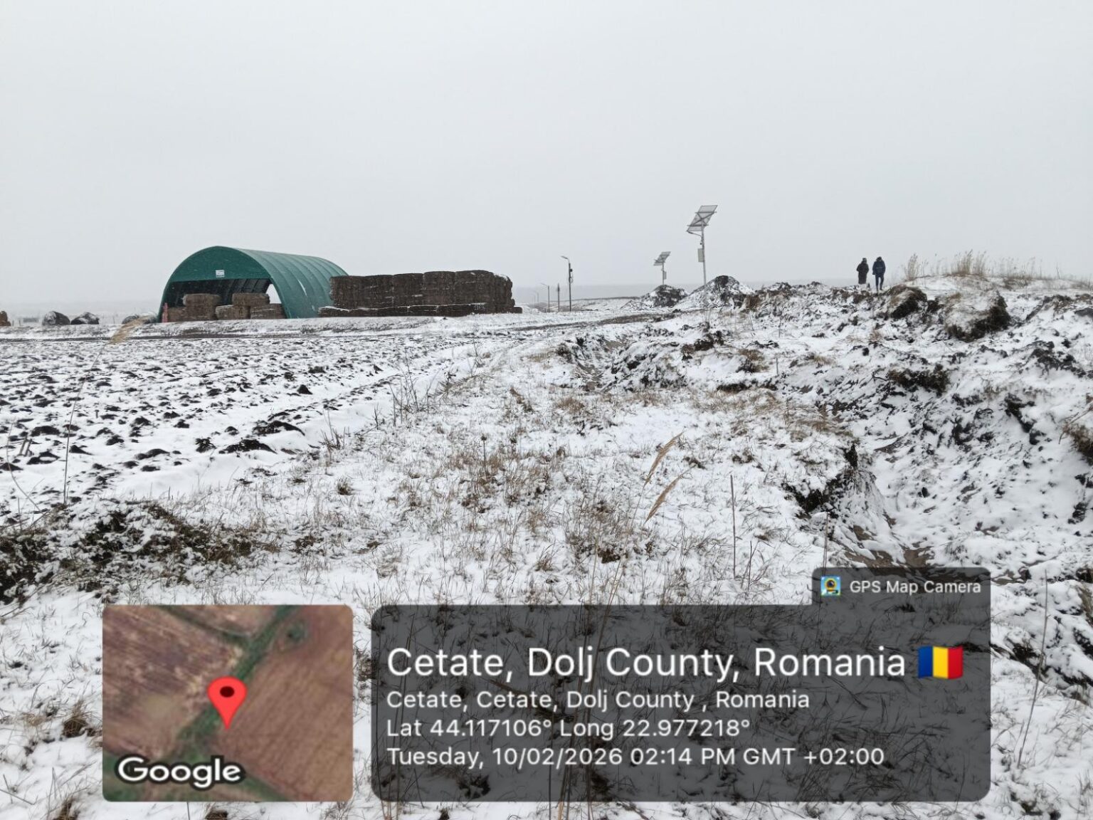 Ferma de Black Angus a lui Nețoiu, închisă. Funcționa ”complet ilegal”