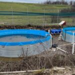 ABA Jiu: Amendă pentru o păstrăvărie ilegală pe Gioroc