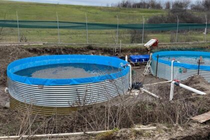 ABA Jiu: Amendă pentru o păstrăvărie ilegală pe Gioroc