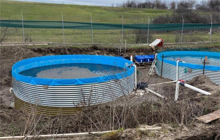 ABA Jiu: Amendă pentru o păstrăvărie ilegală pe Gioroc