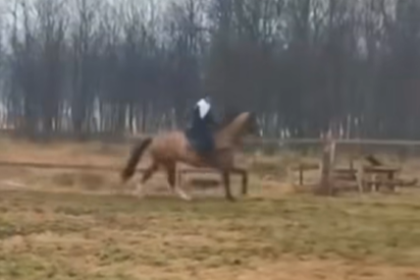 Dosar penal în Craiova: Cal lovit la antrenament