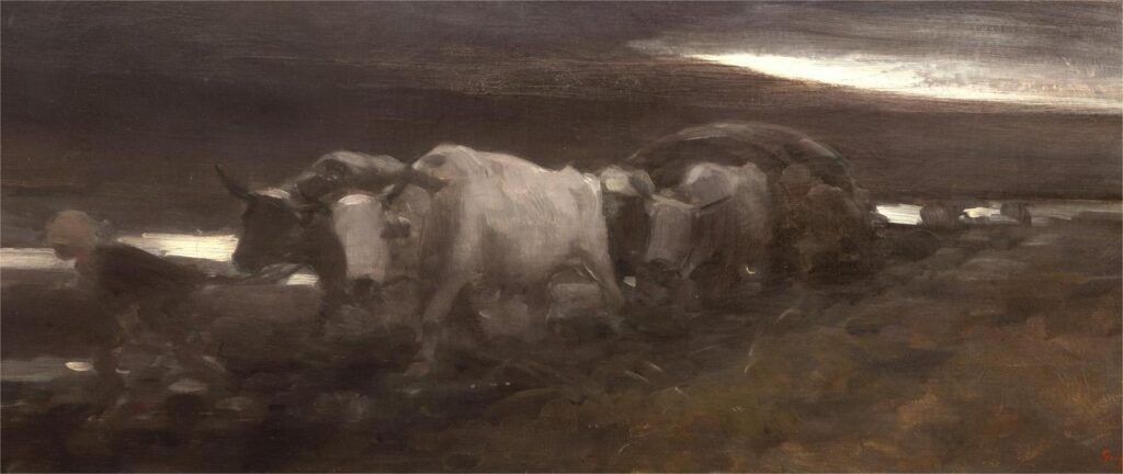 - Jurnalul Olteniei – Știri din Craiova și Oltenia