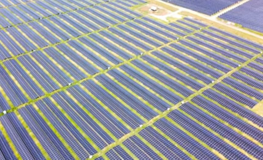 Primul parc solar major din 2026, operațional în Oltenia