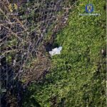 Arestat în Craiova: Vindea droguri prin metoda „dead-drop