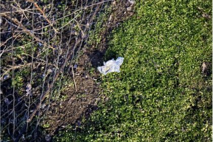 Arestat în Craiova: Vindea droguri prin metoda „dead-drop