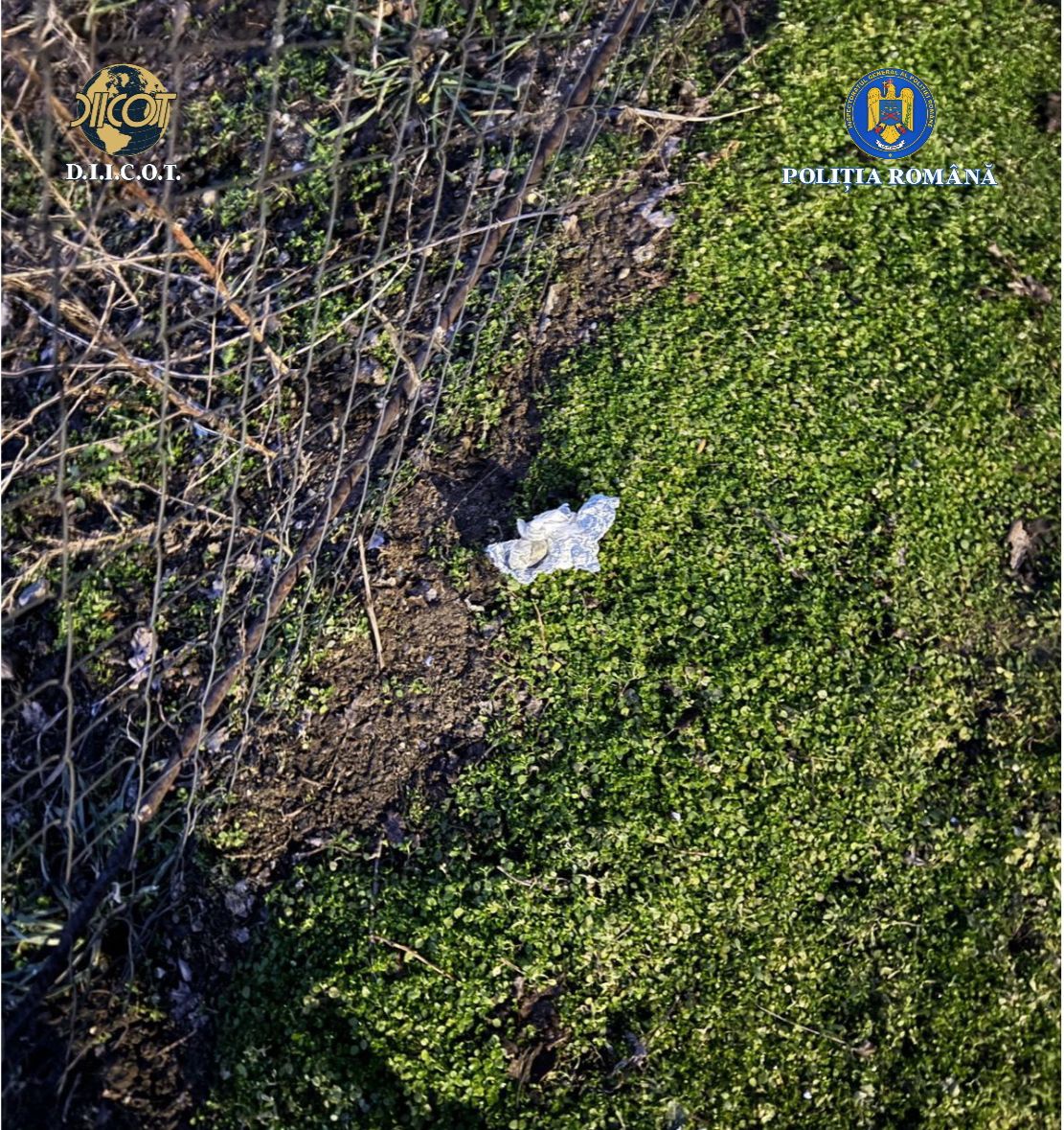 Arestat în Craiova: Vindea droguri prin metoda „dead-drop