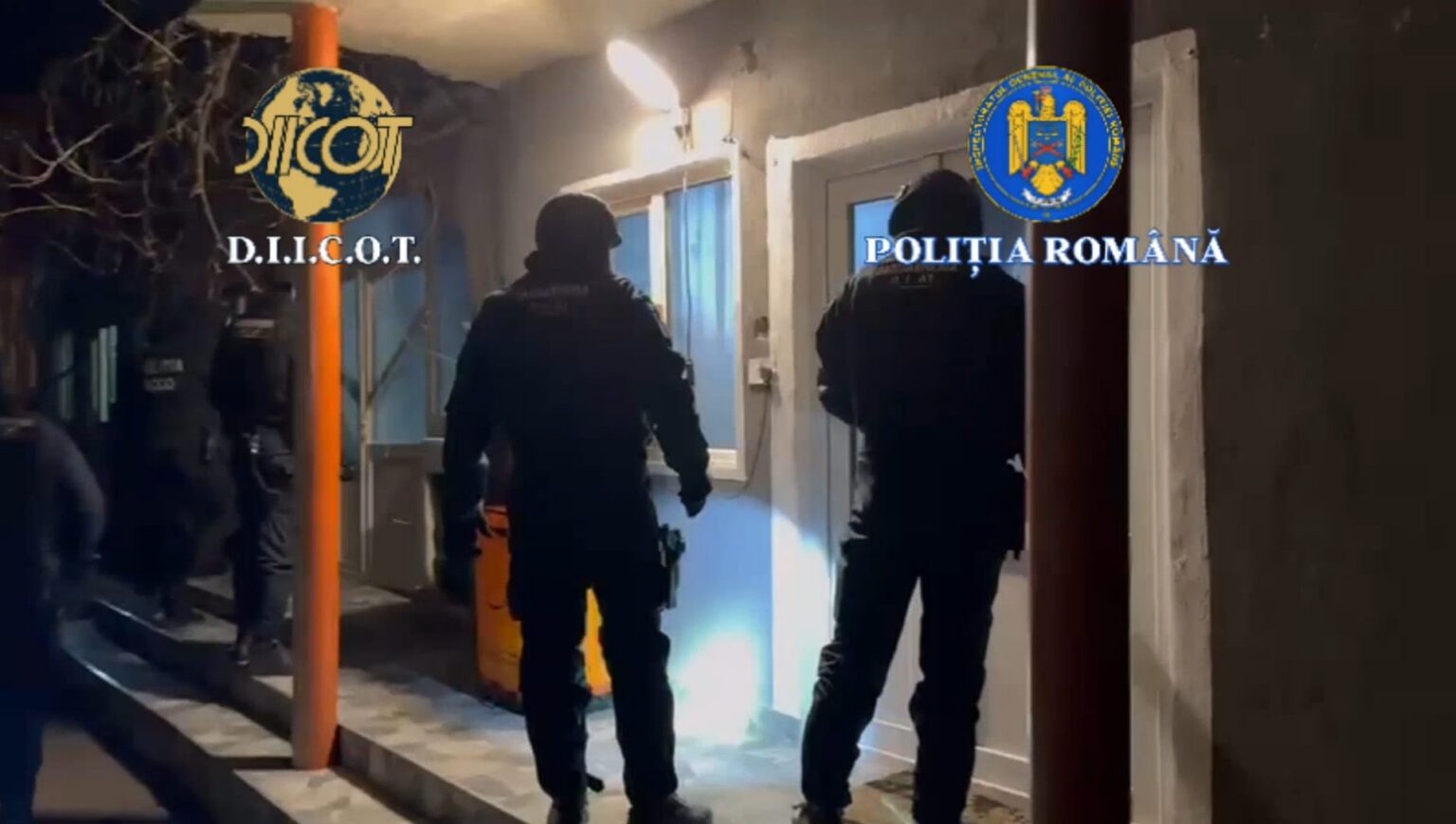 Rețea destructurată la Craiova, patru persoane arestate