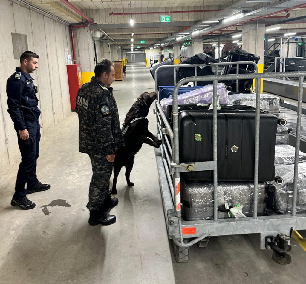 politia la aeroportul craiova - Jurnalul Olteniei – Știri din Craiova și Oltenia Amenzi și controale la Aeroportul Craiova