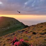 Munții Făgăraș, în topul National Geographic. Foto: Facebook/ Refugiul Scara