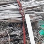 Controale în Dolj: Amenzi uriașe pentru deșeuri ilegale