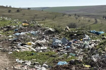 Dezastru ecologic la Caraula. Foto: Facebook/Garda de Mediu Dolj