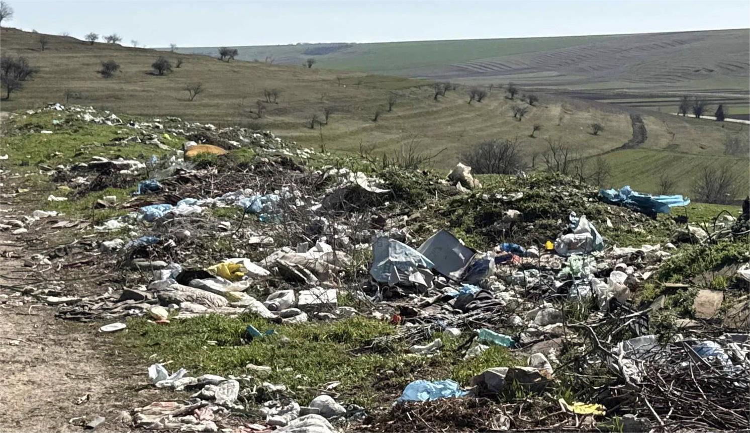 Dezastru ecologic la Caraula. Foto: Facebook/Garda de Mediu Dolj