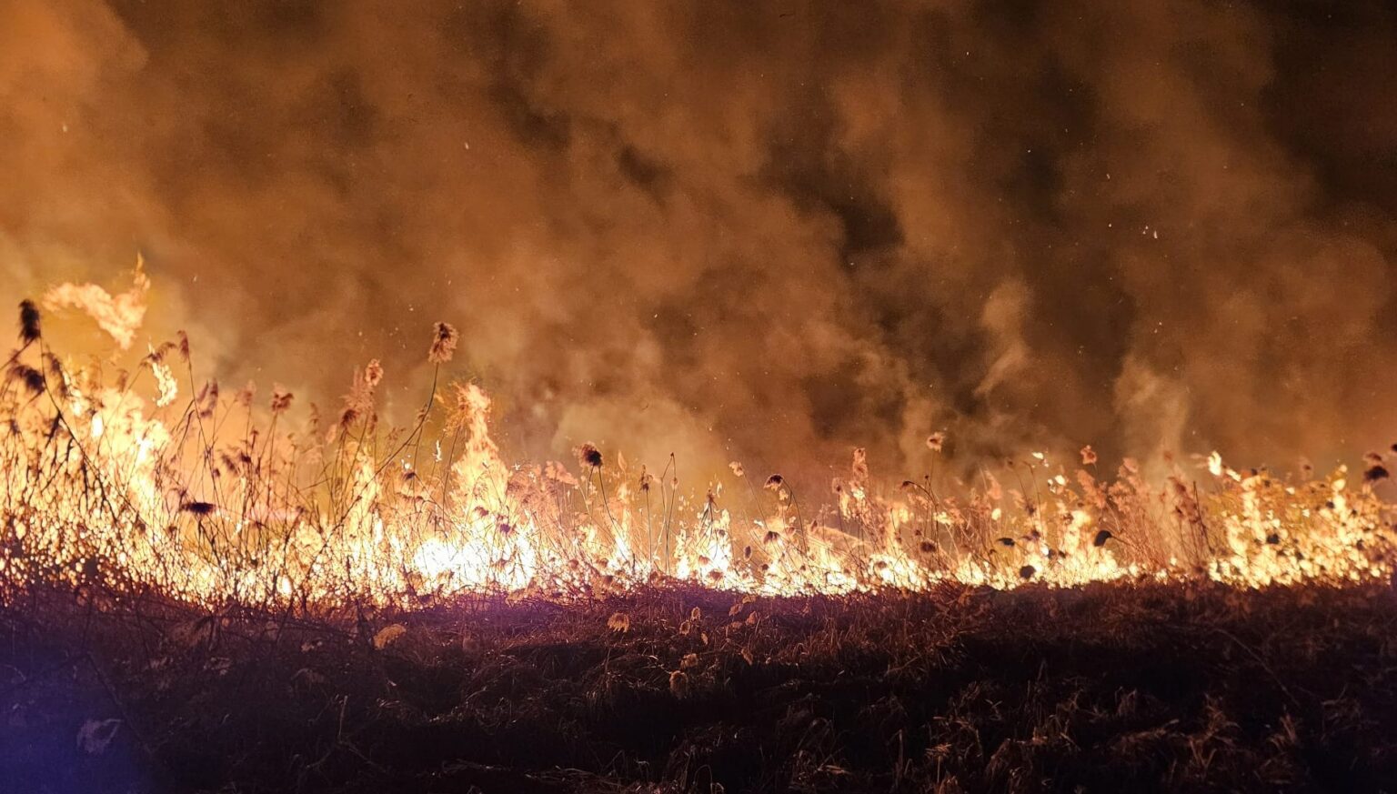 Salvatorii vâlceni luptă cu flăcările – avertisment public