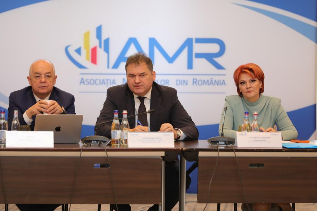 Olguța Vasilescu: primarii cer schimbări urgente