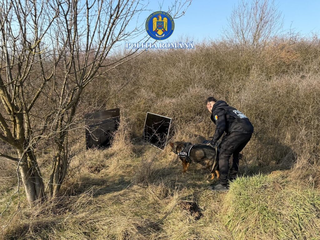 Hoț de 15 ani din Gorj, prins de câinele polițist Gica