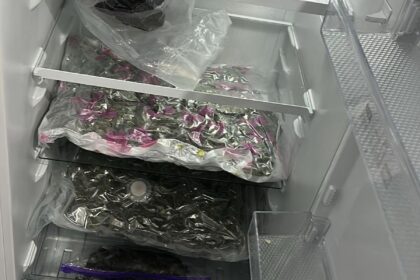 Droguri în Vâlcea: Kilograme de canabis, capturate de DIICOT