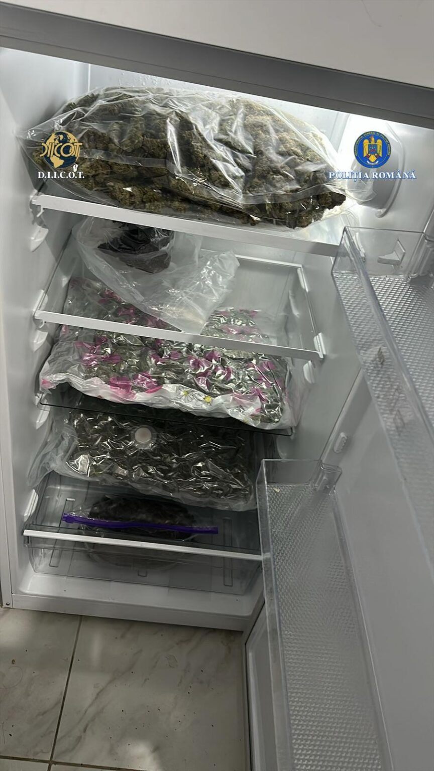 Droguri în Vâlcea: Kilograme de canabis, capturate de DIICOT