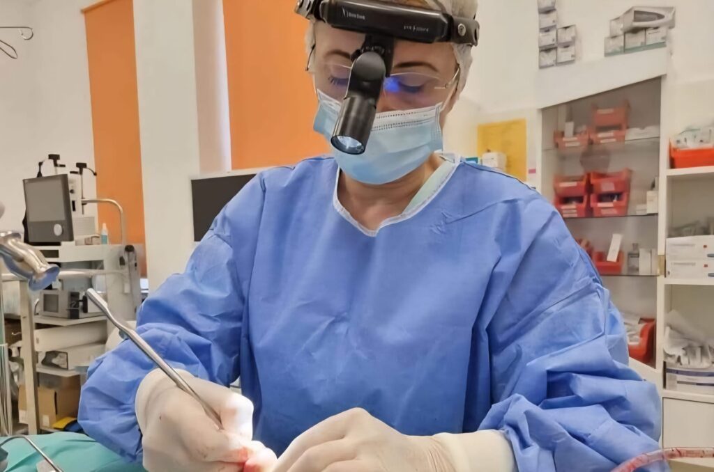 Curaj la feminin: Empatie și disciplină - Dr. Mihaela Mitroi