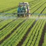 APIA: Începe depunerea cererilor de plată pentru 2026. Foto: Pixabay