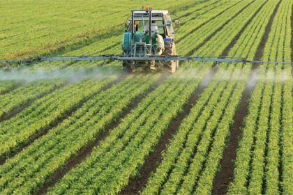 APIA: Începe depunerea cererilor de plată pentru 2026. Foto: Pixabay