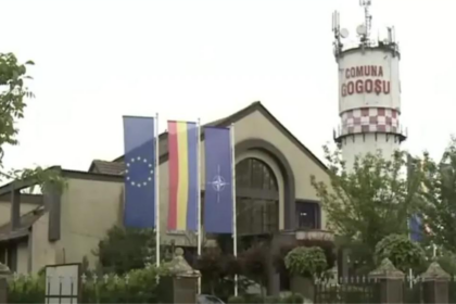 Tablouri cu fostul primar din Gogoșu, pe fațada instituției