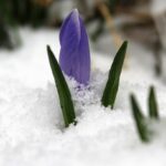 Martie – Luna care împletește speranța cu tradiția