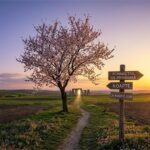 Vine primăvara astronomică: Ziua devine egală cu noaptea