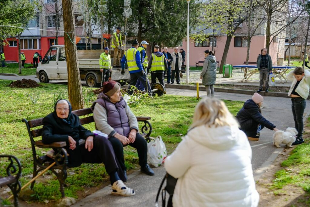 Oraș mai curat: plantări masive de arbori în Severin
