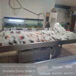 Severin: Amenzi Garda de Mediu la vânzarea de pește