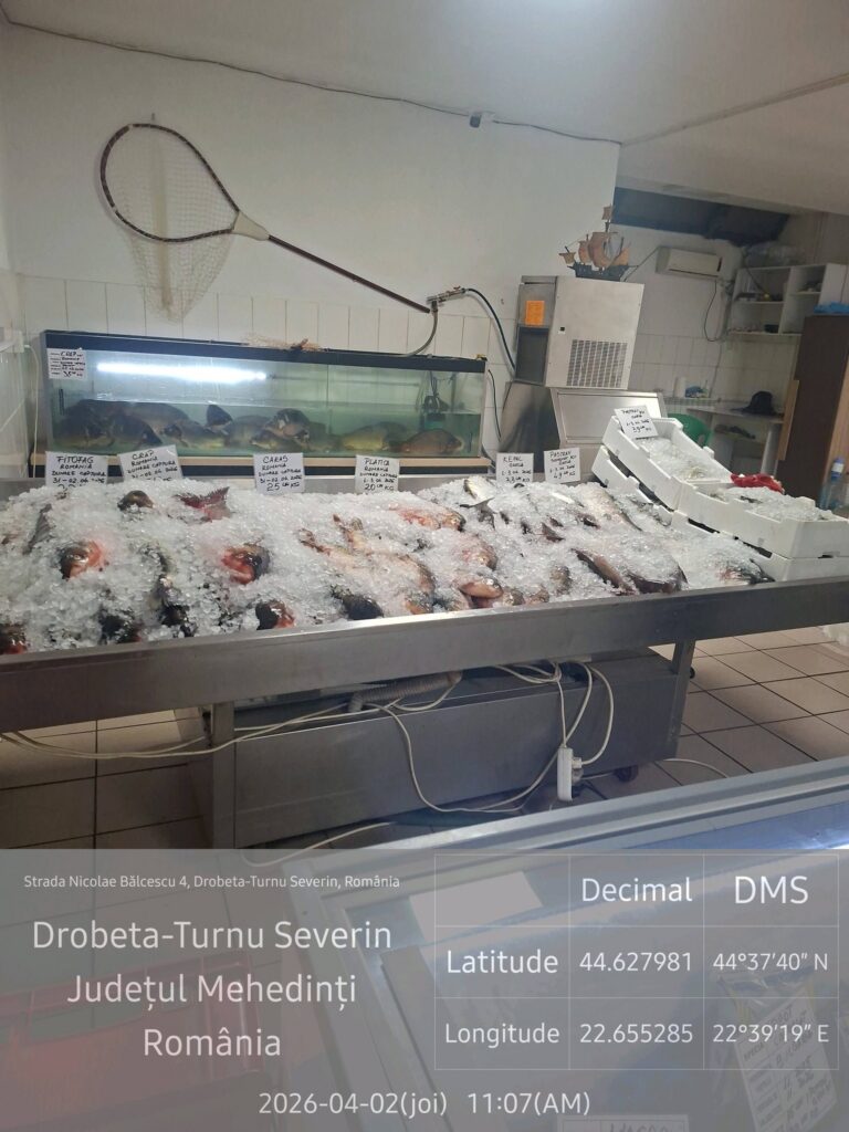 Severin: Amenzi Garda de Mediu la vânzarea de pește