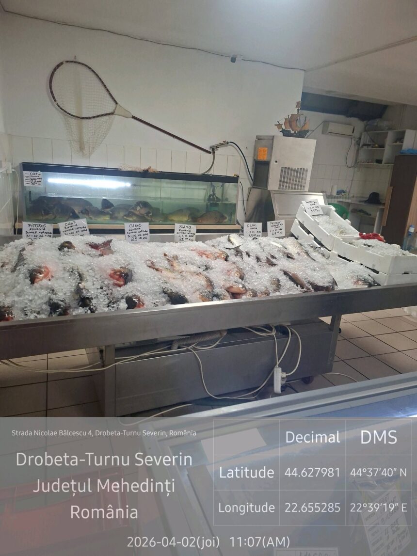 Severin: Amenzi Garda de Mediu la vânzarea de pește