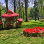 Confuzie virală: Au vrut la Cracovia, au aterizat la Craiova